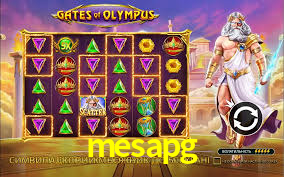 mesapg