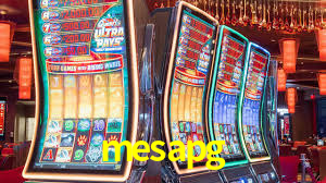 mesapg,mesapg.com
