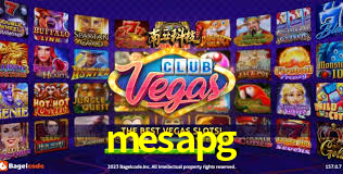 mesapg App Interface